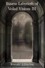 Bizarre Labyrinth of Veiled Visions III af Ronald J. Dayton
