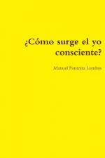 ¿Cómo surge el yo consciente? af Manuel Fontoira Lombos