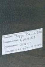 Ajomies af Teppo Paulasto