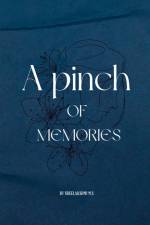 A Pinch of Memories af Sreelakshmi M.