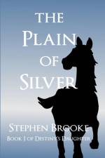 The Plain of Silver af Stephen Brooke
