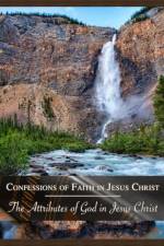 The Attributes of God in Jesus Christ af Sean Morris
