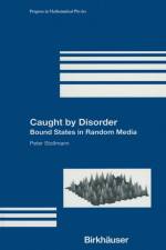 Caught by Disorder af Peter Stollmann