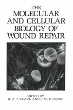The Molecular and Cellular Biology of Wound Repair af R a F Clark