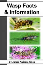 Wasp Facts & Information af James Andrew Jones