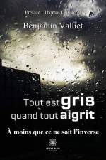 Tout est gris quand tout aigrit af Benjamin Valliet
