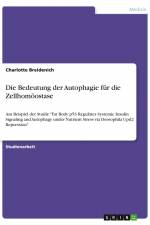 Die Bedeutung der Autophagie für die Zellhomöostase af Charlotte Breidenich