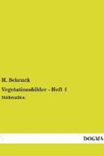Vegetationsbilder - Heft 1 af H. Schenck