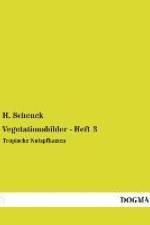 Vegetationsbilder - Heft 3 af H. Schenck