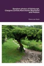 Random photos of Edinburgh, Glasgow,Carlisle,Manchester,Blackpool and Preston af Elena Lee-Stark