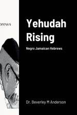 Yehudah Rising af Beverley M. Anderson