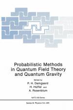 Probabilistic Methods in Quantum Field Theory and Quantum Gravity af P H Damgaard