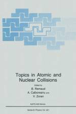 Topics in Atomic and Nuclear Collisions af Bernard Remaud