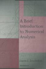 A Brief Introduction to Numerical Analysis af E E Tyrtyshnikov