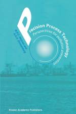 Precision Process Technology af M P C Weijnen