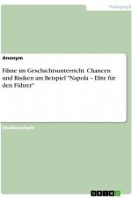 Filme im Geschichtsunterricht. Chancen und Risiken am Beispiel 
