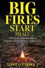 Big Fires Start Small af Thomas Pandola