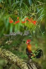 Chalaak Murgha af Kausar Chandpuri
