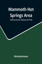 Mammoth Hot Springs Area af Anonymous