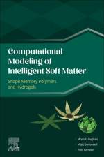 Baghani, M: Computational Modeling of Intelligent Soft Matte af Mostafa (Associate Professor Baghani