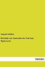 Beiträge zur Anatomie der Gattung Siphonaria af August Kohler
