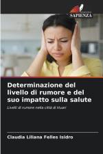Determinazione del livello di rumore e del suo impatto sulla salute af Claudia Liliana Felles Isidro