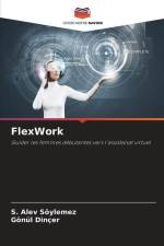 FlexWork af S. Alev Söylemez