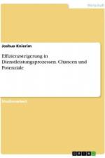 Effizienzsteigerung in Dienstleistungsprozessen. Chancen und Potenziale af Joshua Knierim