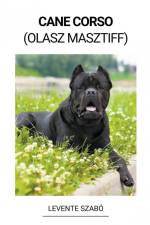 Cane Corso (Olasz Masztiff) af Levente Szabó