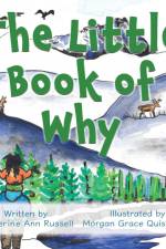 The Little Book of Why