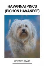 Havannai Pincs (Bichon Havanese) af Levente Szabó