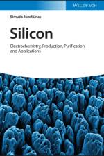 Silicon af Eimutis Juzeliunas