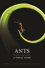 Ants af Benjamin Blanchard