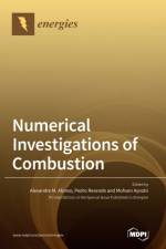 Numerical Investigations of Combustion af Alexandre M Afonso