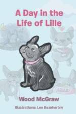 A Day in the Life of Lille af Wood McGraw