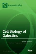 Cell Biology of Galectins