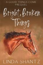 Bright, Broken Things af Linda Shantz