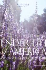 Lavender Fields of America af Rebecca Rosenberg
