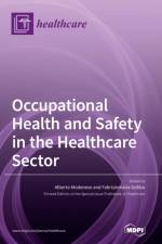 Occupational Health and Safety in the Healthcare Sector af Fabriziomaria Gobba