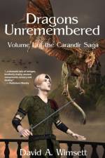 Dragons Unremembered af David A. Wimsett
