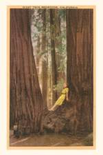 The Vintage Journal Girl in Nook of Twin Redwood Trees
