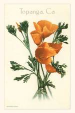 The Vintage Journal Poppies, Topanga, California