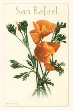 Vintage Journal San Rafael, California Poppies