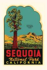Vintage Journal Sequoia National Park Decal