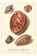 Vintage Journal Santa Cruz Shells
