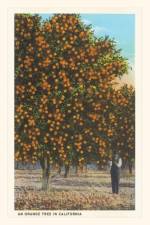 Vintage Journal Orange Grove