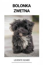 Bolonka Zwetna af Levente Szabó