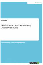 Blindnieten setzen (Unterweisung Mechatroniker/-in) af Anonym