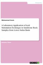 A Laboratory Application of Acid Stimulation Technique in Sandstone Rock Samples from Lower Indus Basin af Muhammad Awais