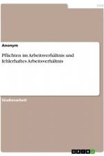 Pflichten im Arbeitsverhältnis und fehlerhaftes Arbeitsverhältnis af Anonym